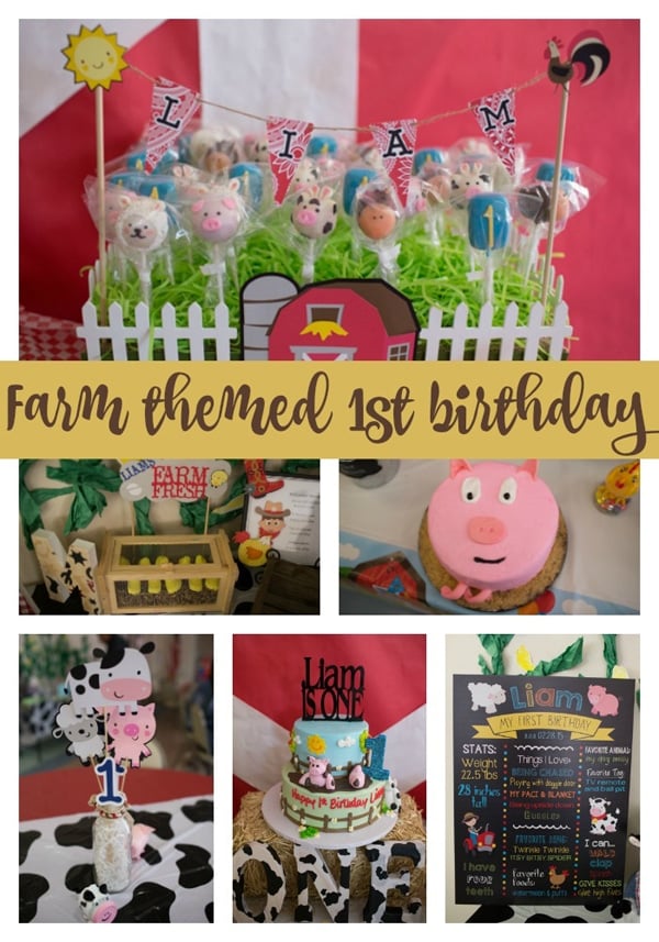 farm-themed-1st-birthday-party-ideas