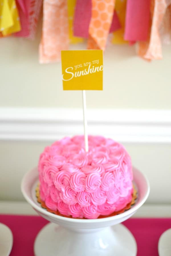 Girly Sunshine Party Theme