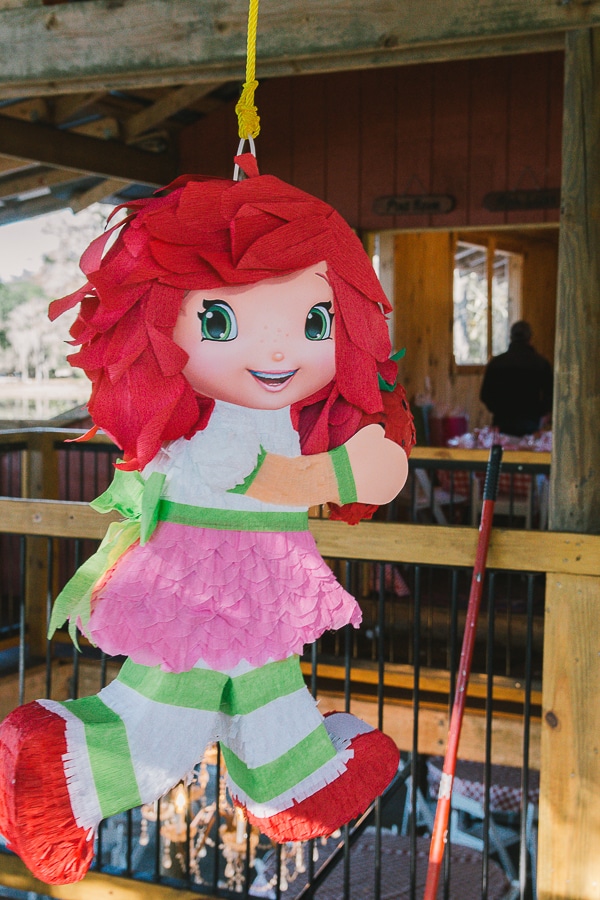 Strawberry Shortcake Farm Party