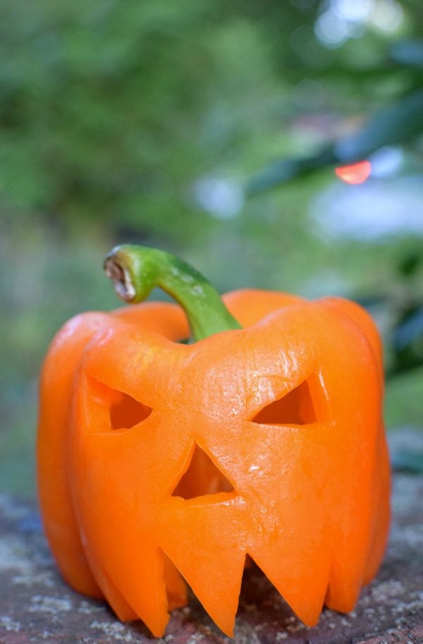 5 Creative Alternatives To Pumpkin Carving