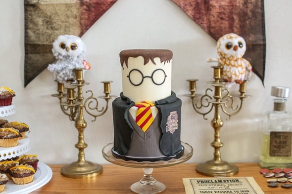 Harry Potter Birthday Party - Perfectly Magical for Boys or Girls!