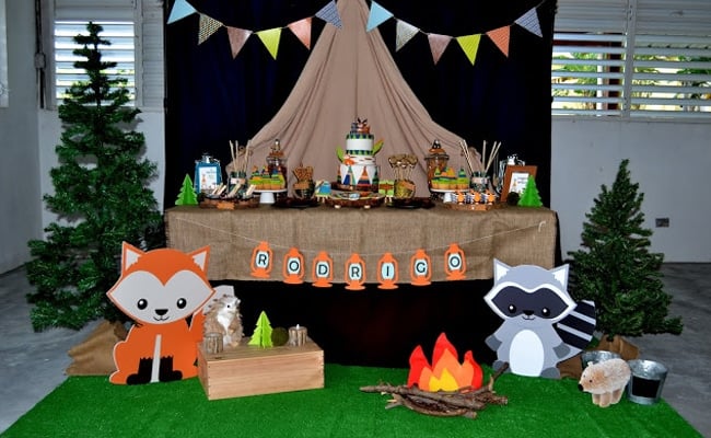 Woodland Camping Birthday Party