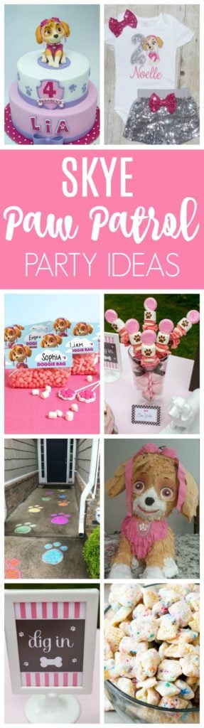 Skye Paw Patrol Party Ideas | Pretty My Party
