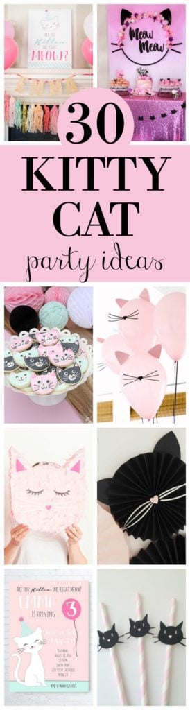 30 Cute Cat Birthday Party Ideas featured on Pretty My Party