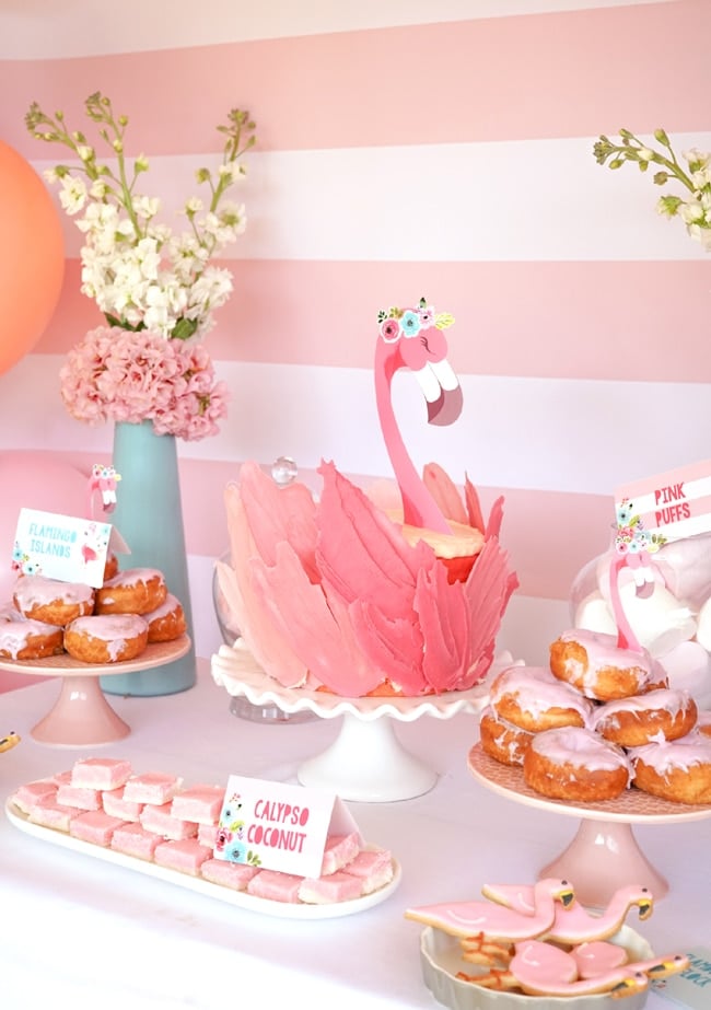 Flamingo Party Cake