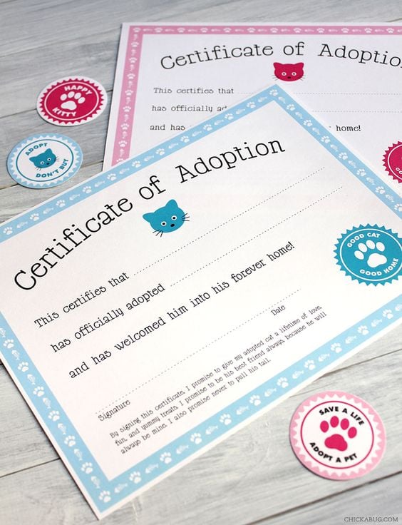 Free Cat Adoption Printable | Cat Party Ideas