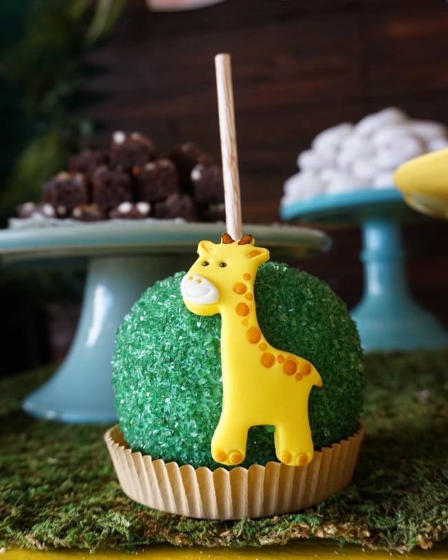 Animal Safari Themed Baby Shower Desserts