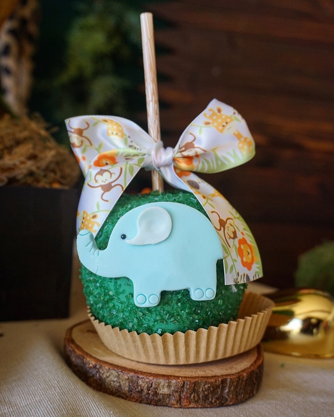 Animal Safari Themed Baby Shower