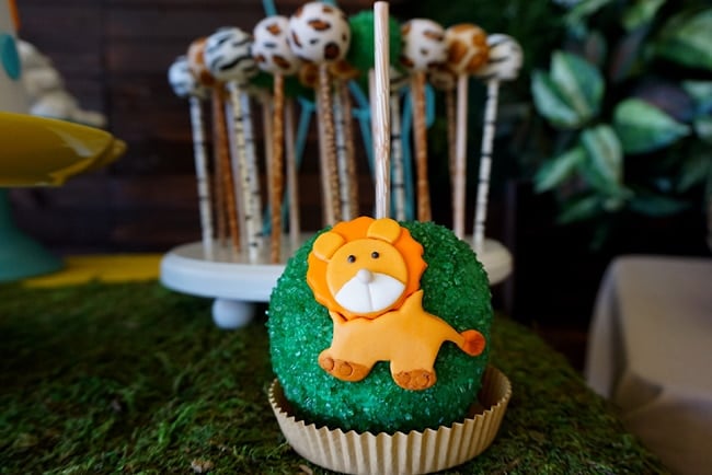 Animal Safari Themed Baby Shower Desserts