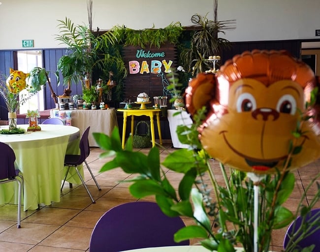 Animal Safari Themed Baby Shower Ideas