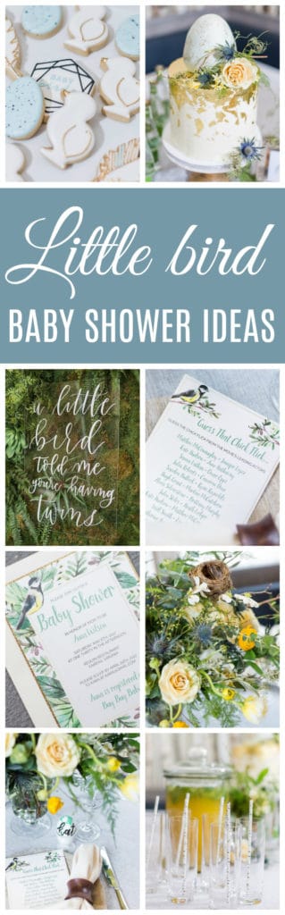 Sweet Little Bird Themed Baby Shower Ideas on Pretty My Party