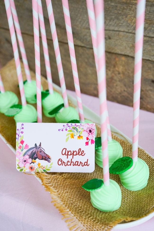 Apple Orchard Cake Pops - Horse Themed Birthday Party