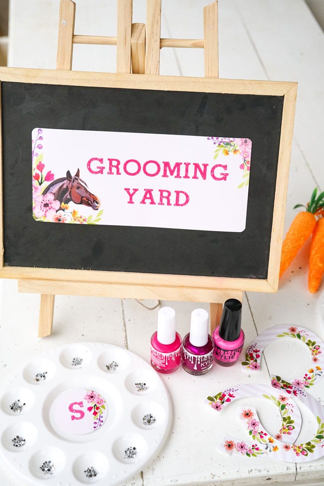 Horse Birthday Party - Grooming Station Idea