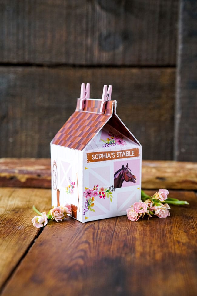 Horse Party Favor Boxes - Sophia's Stable