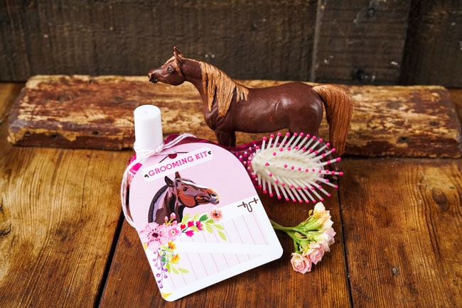 Horse Party Favors - Grooming Kit