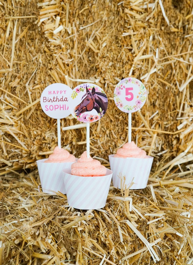 Horse Party Cupcakes - Horse Birthday Party