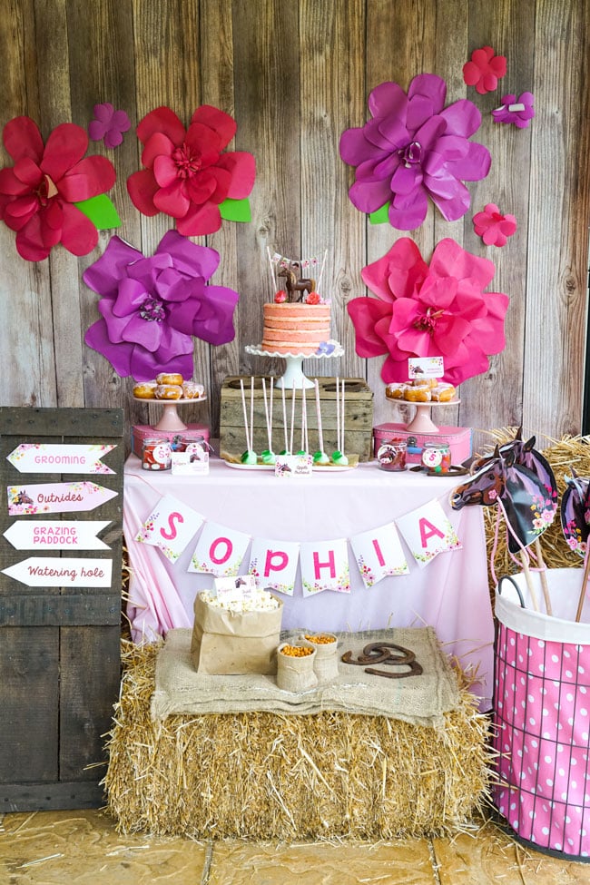 Rustic Horse Birthday Party Dessert Table