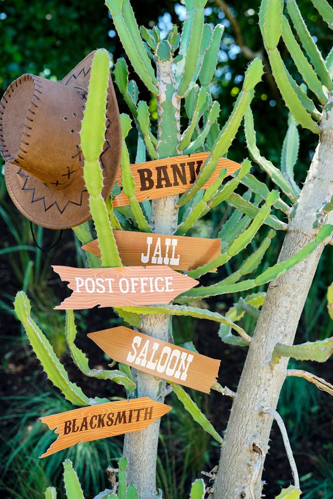 Cowboy birthday party ideas Cowboy birthday party ideas