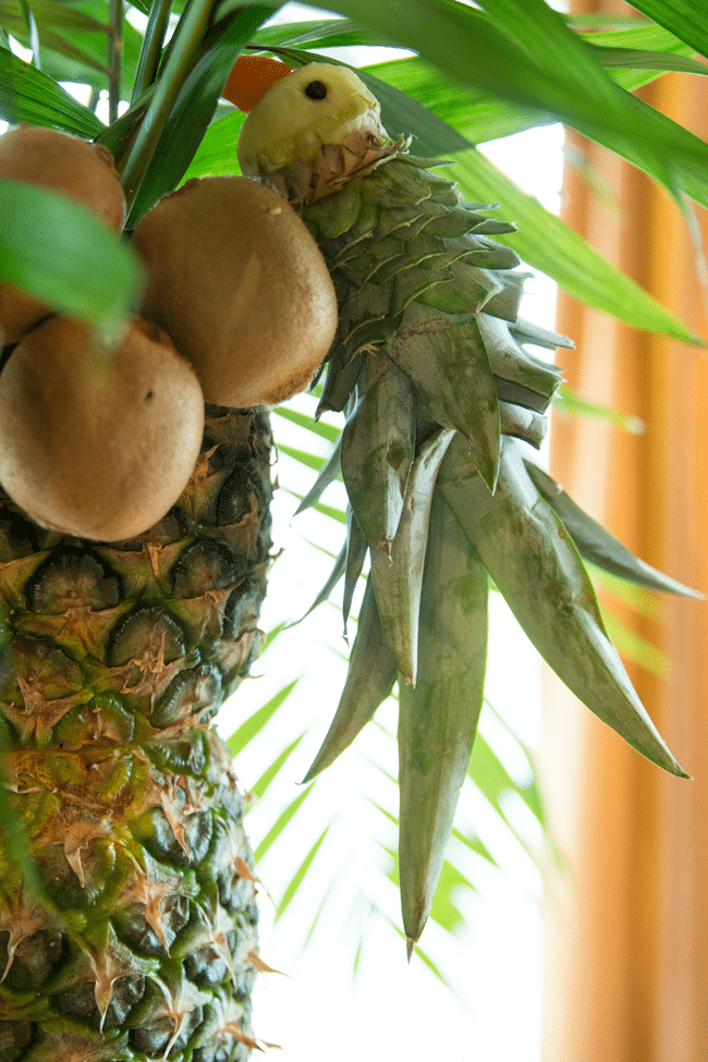 Fun Jungle Theme Baby Shower Fruit Display Bird