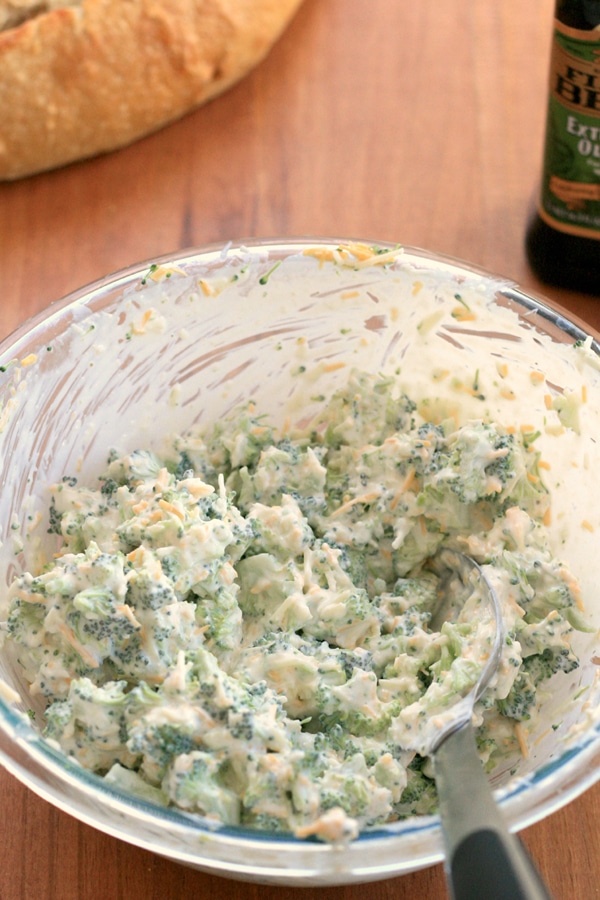 Broccoli Cheese Dip - Pretty My Party