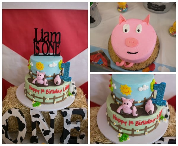 Boys 1st birthday ideas - Farm Animals