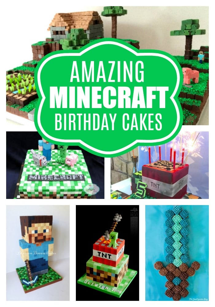 Amazing Minecraft Birthday Cakes on Pretty My Party