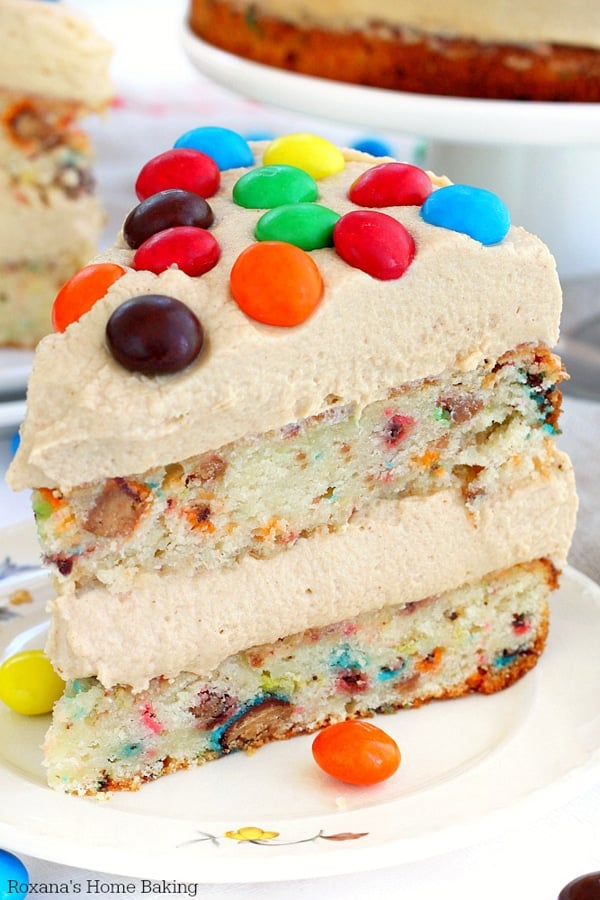 M&M Peanut Butter Cake - Best Birthday Cake Recipe Ideas