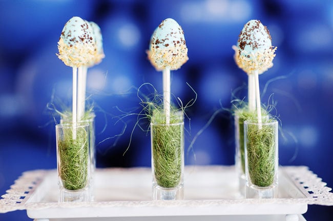 Mother's Day Party Bird Egg Cake Pops