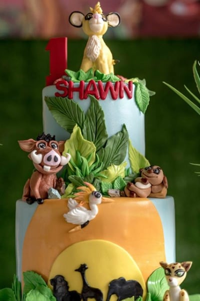 Lion King Themed Birthday Party
