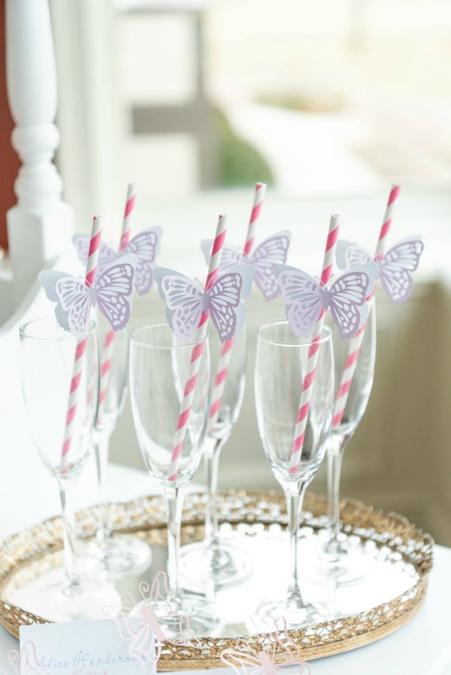 Butterfly Straws
