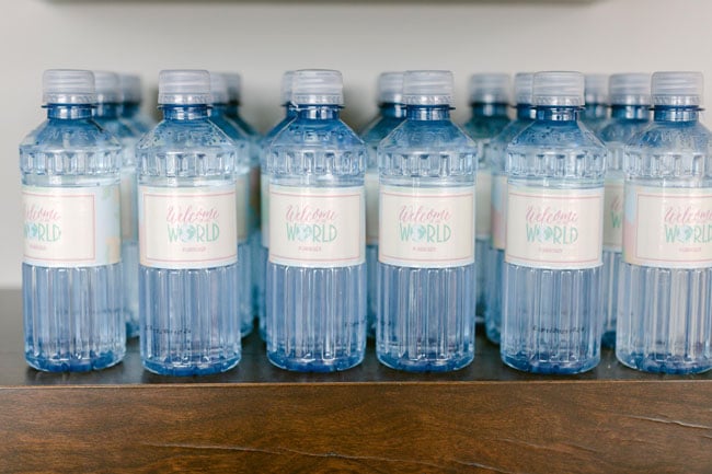 Around the World Baby Shower Water Bottles