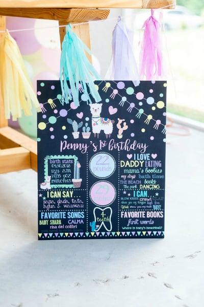 Llama Themed 1st Birthday Party