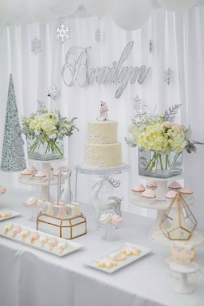 Winter Onederland Party