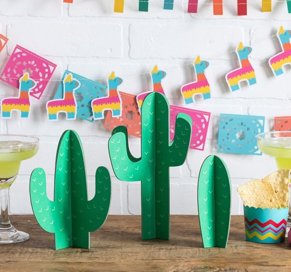 Cactus Party Decorations