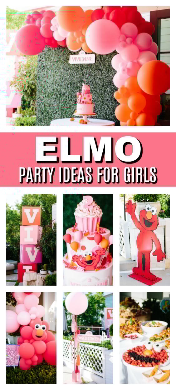 Adorable Girls Elmo Birthday Party Pretty My Party