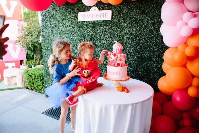 Adorable Girls Elmo Birthday Party