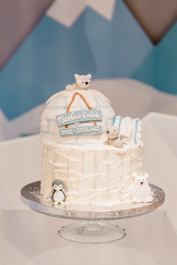 Winter Wonderland Igloo Birthday Cake