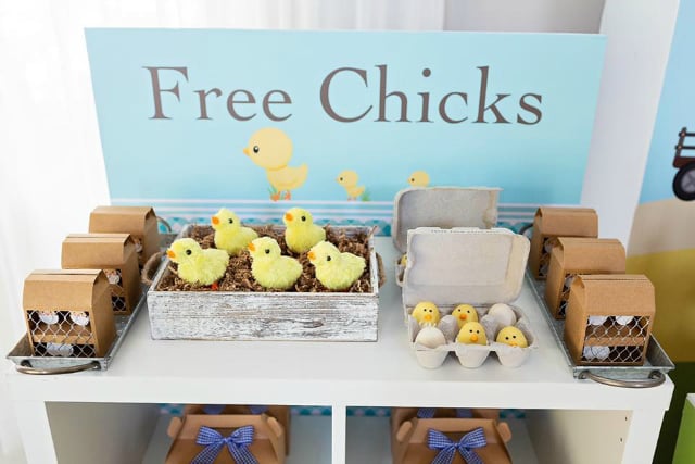 Free Chicks for Farm Birthday