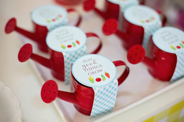 Red Watering Can Party Favors
