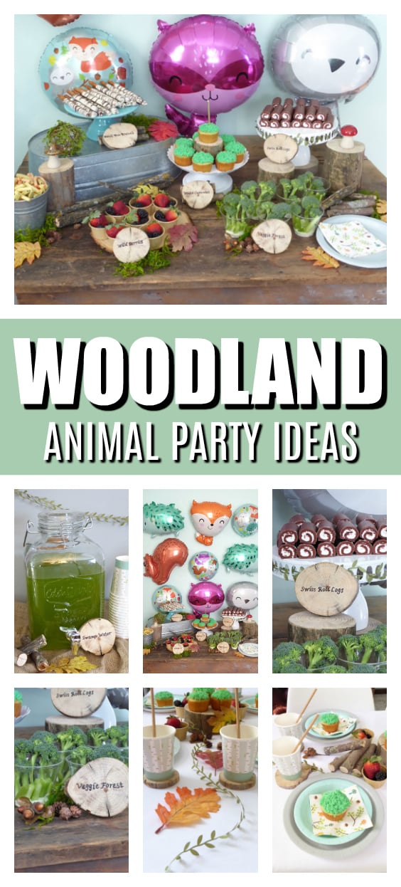 Woodland Animals Themed Party on Pretty My Party