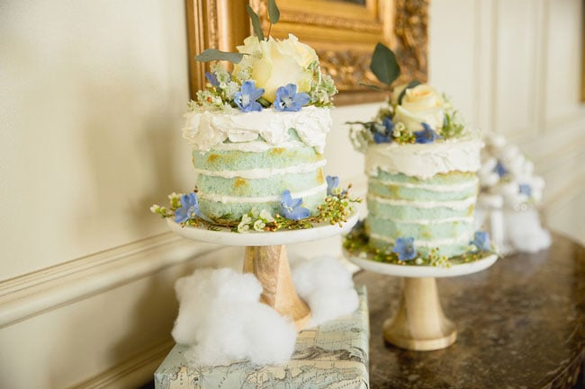 Naked Baby Shower Cakes