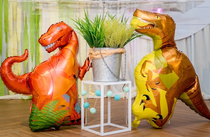 Dinosaur Themed Birthday Party Balloons