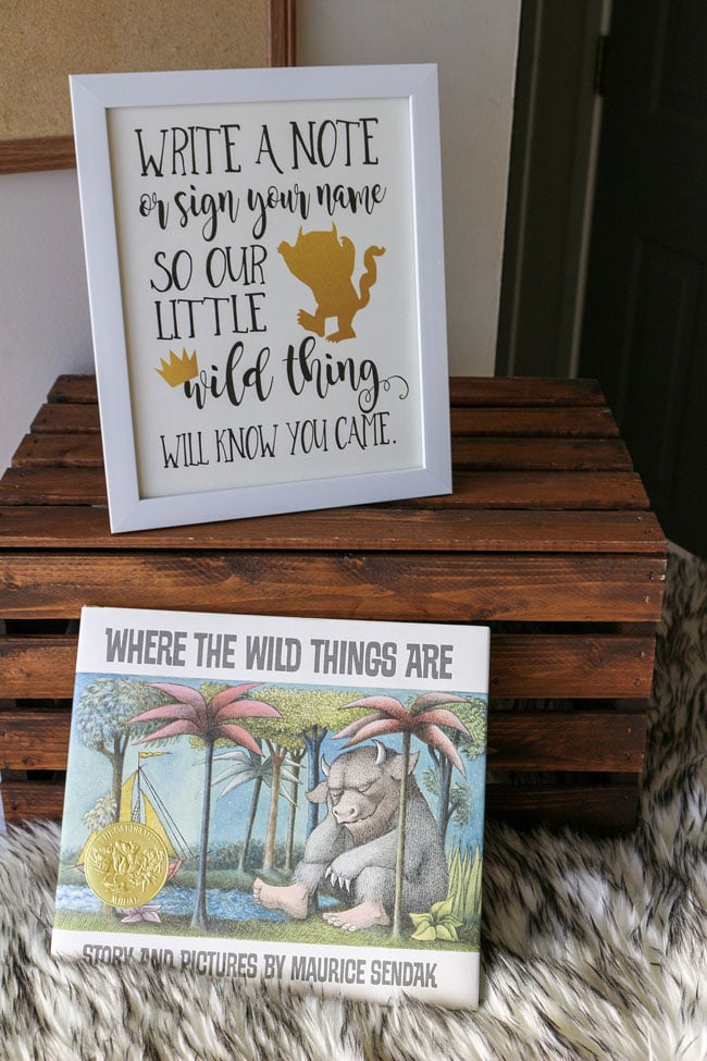 Where The Wild Things Are Birthday Party Ideas