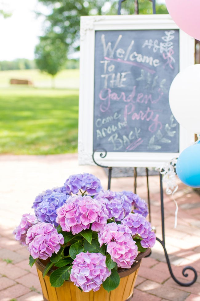 Kids Garden Party Welcome Sign and Flowers