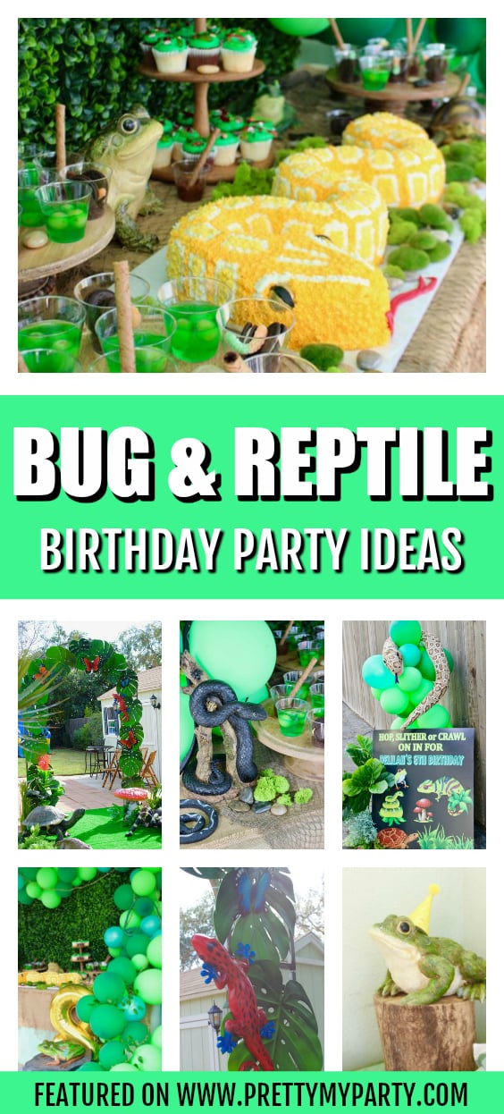 Bug and Reptile Themed Birthday Party on Pretty My Party