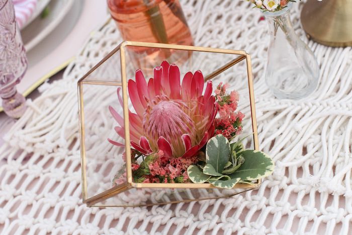 Celebrate Your Tribe Birthday Party Succulent Decor
