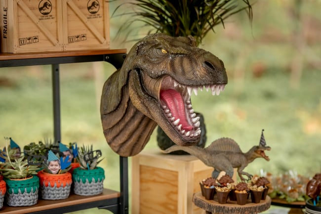 Roaring Dinosaur Birthday Party Decorations