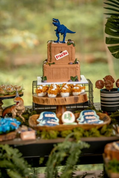 Dinosaur Party