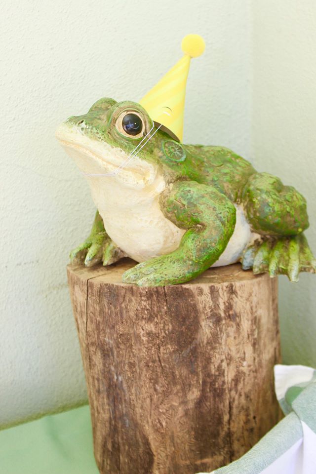 Bug and Reptile Party Frog Decoration