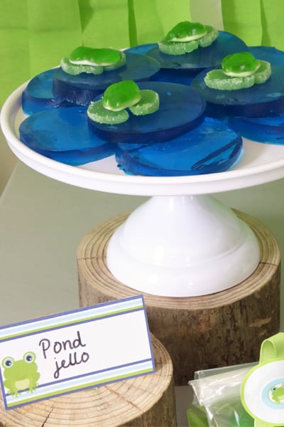 Frog Themed Birthday Party